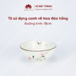 Tô thường đường kính 16cm