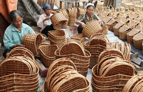 Làng nghề mây tre đan Phú Vinh - Tinh hoa truyền thống và phát triển bền vững