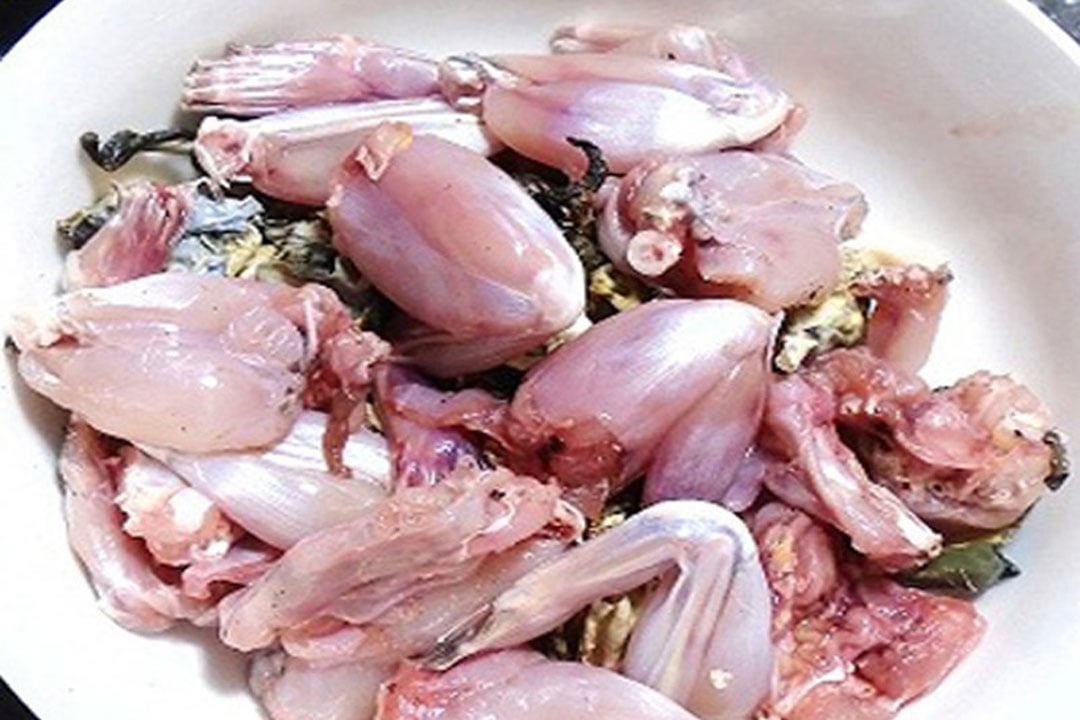 Cách làm ếch xào sả ớt – Bí quyết chế biến món ăn thơm ngon, đậm đà hương vị Đông Nam Bộ