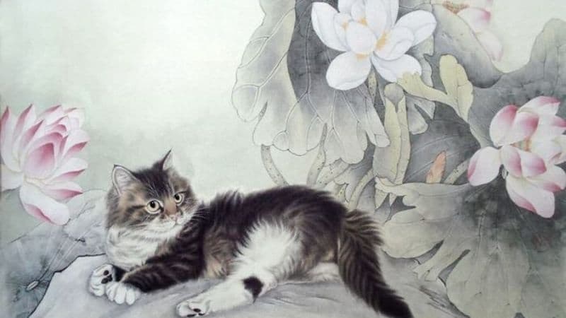 Con số may mắn tuổi Mão hôm nay - Bí quyết tìm kiếm cơ hội và thịnh vượng